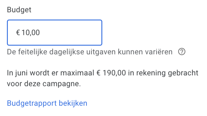 Dagbudget Google Ads