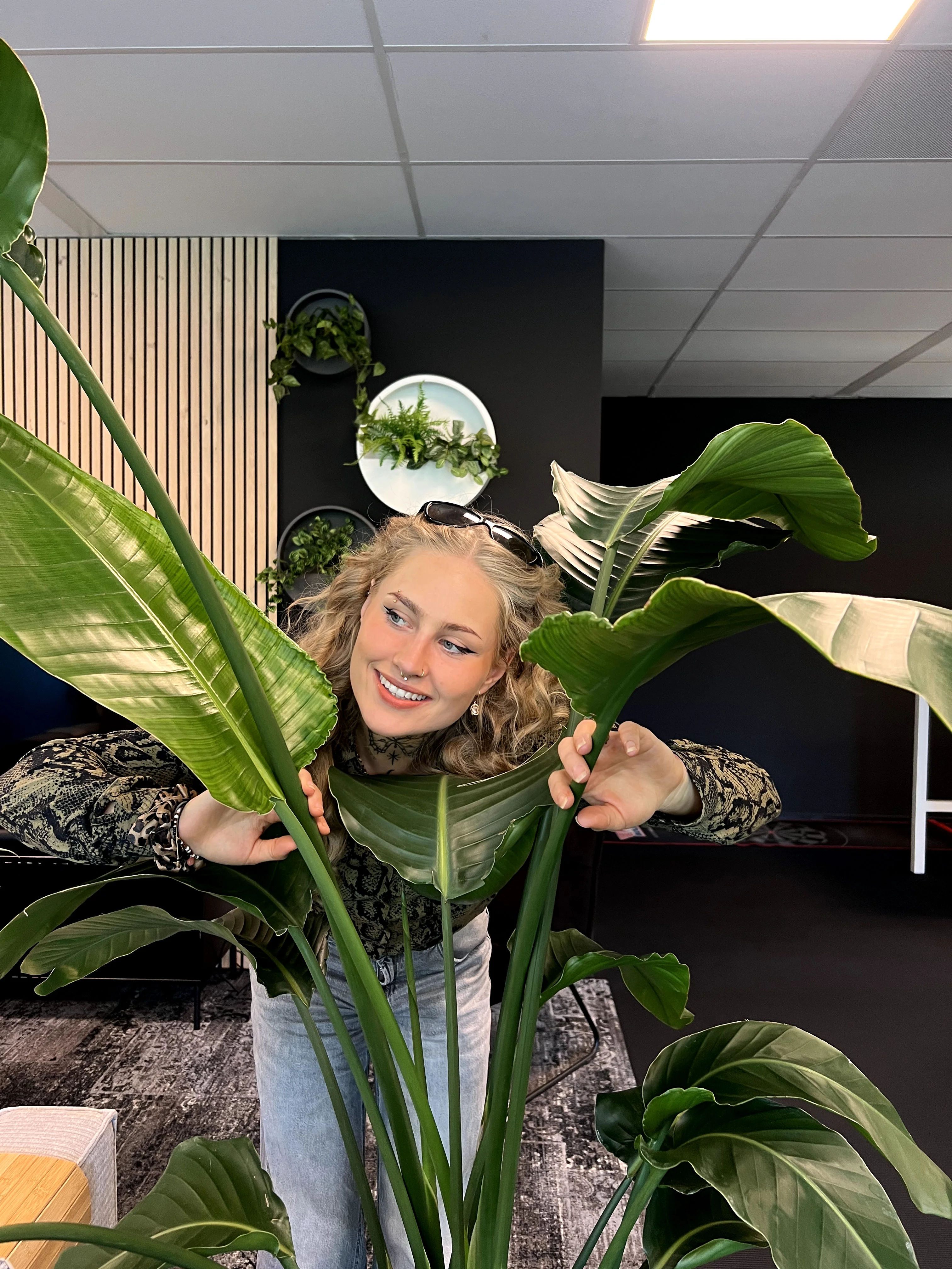 lois tussen planten op kantoor marketing contentstrategie