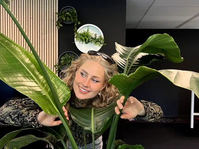 lois tussen planten op kantoor marketing contentstrategie