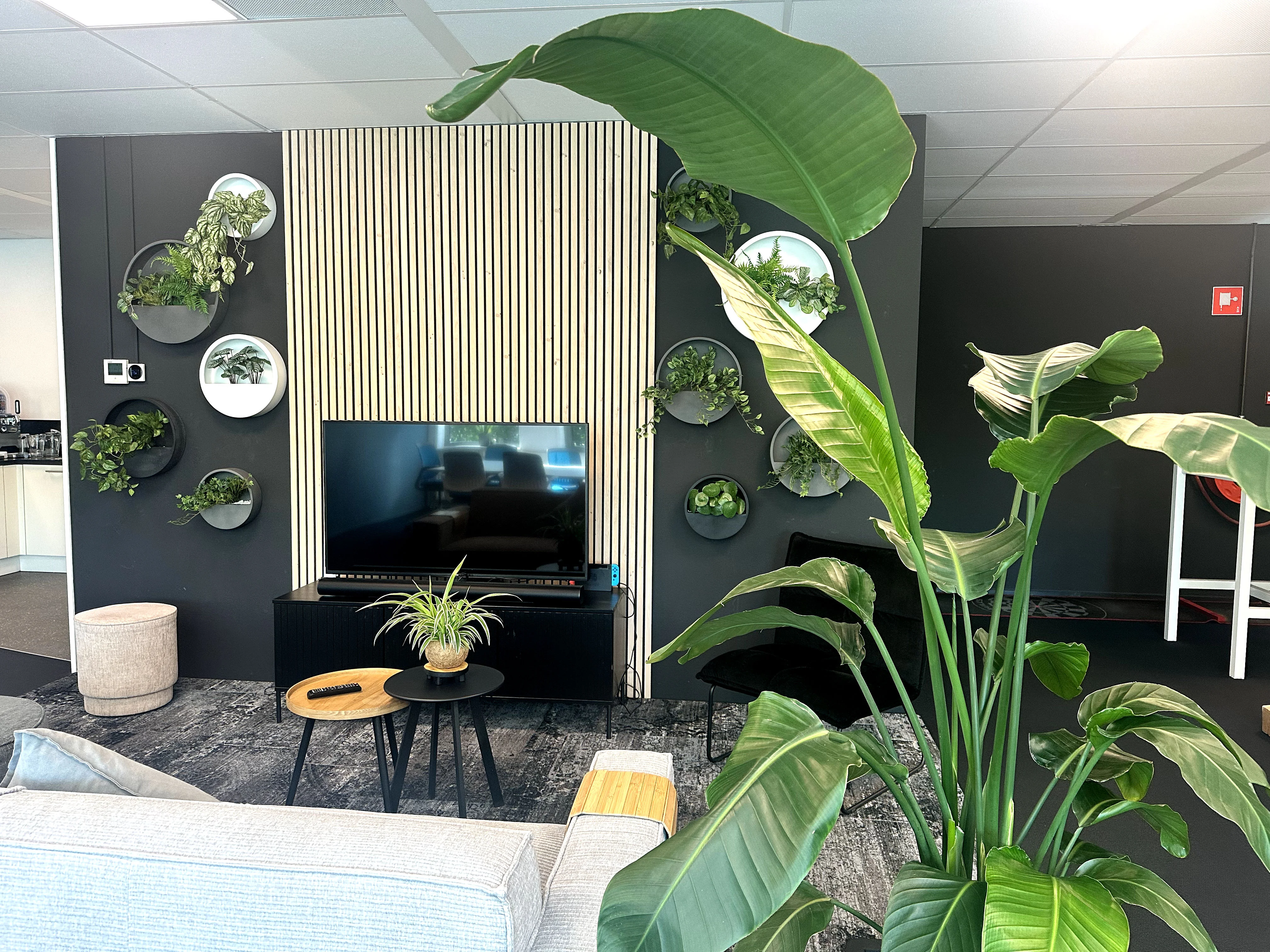 overzicht planten business plants contentstrategie